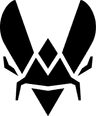 Team Vitality