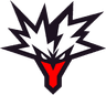 Team Yandex