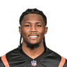 Tee Higgins