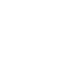 Stormers