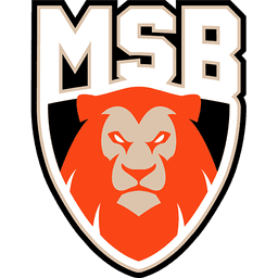 Le Mans Sarthe Basket