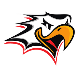 Vaasan Sport
