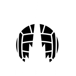 Falkirk FC