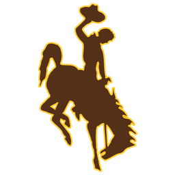 Cowboys