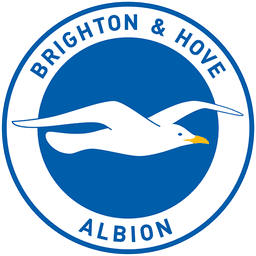 Brighton and Hove Albion WFC