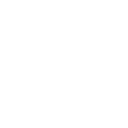 Ospreys